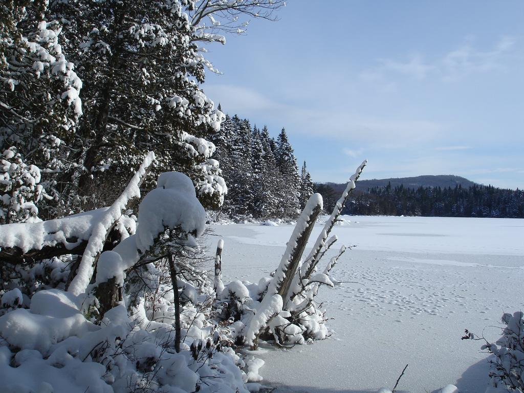 Manoir Du Lac Sept-Iles Saint-Raymond Bagian luar foto